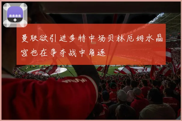 曼联欲引进多特中场贝林厄姆水晶宫也在争夺战中角逐