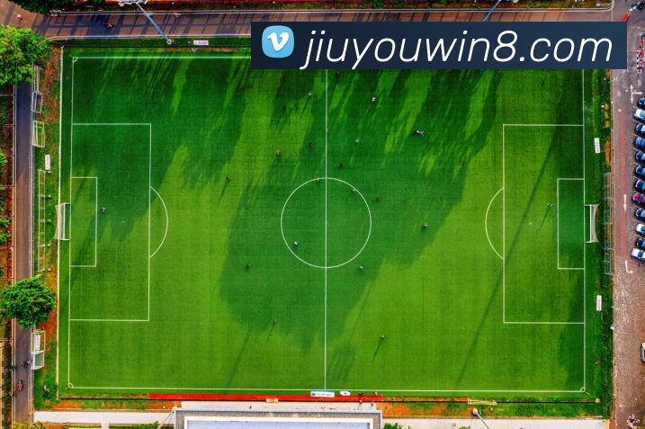 九游娱乐平台生态图